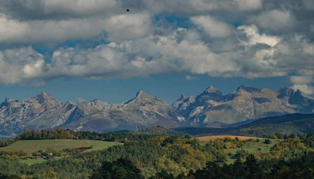 Bosque cerca de los Pirineos